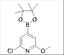 "2-chloro-6-methoxy-4-(4,4,5,5- tetramethyl-1,3,2-dioxaborolan-2- yl)pyridine"
